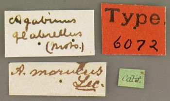 Media type: image;   Entomology 6072 Aspect: labels